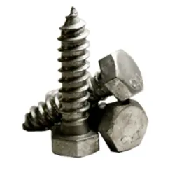 HEX LAG SCREW H.D.G. (487)