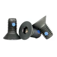 Flat Socket Cap Nylon Pellet Black Alloy Inch 