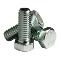 Hex Bolts