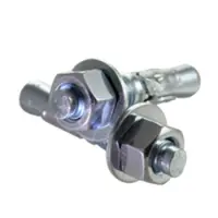 Brighton Best Wedge Anchors