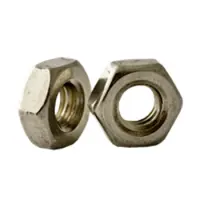 Stainless Hex Nuts