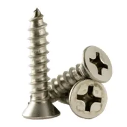 TYPE-A, PHILIPS FLAT HD TAPPING SCREW S.S.18-8 (790)