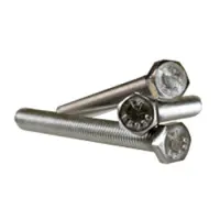 Hex Tap Bolt, Stainless Steel 18 8 (Inch)