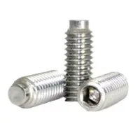 Half Dog Socket Set Screws Stainless Steel 18 8 Inch 