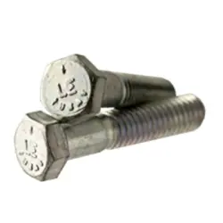 GR.5 HEX CAP SCREW ZINC CR-3(India) (457)