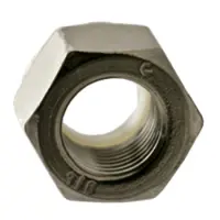 Nylon Insert Locknut, 316 Stainless (Inch)