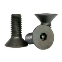 Flat Socket Cap, Tamper Resistant, Thermal Black Oxide, Alloy (Inch)