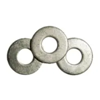 Brighton Best Washers